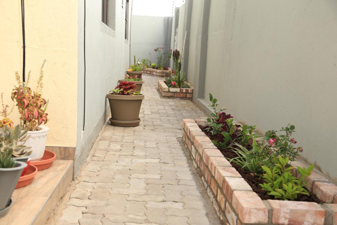 Coco Palm Bed & Breakfast Windhoek Kültér fotó